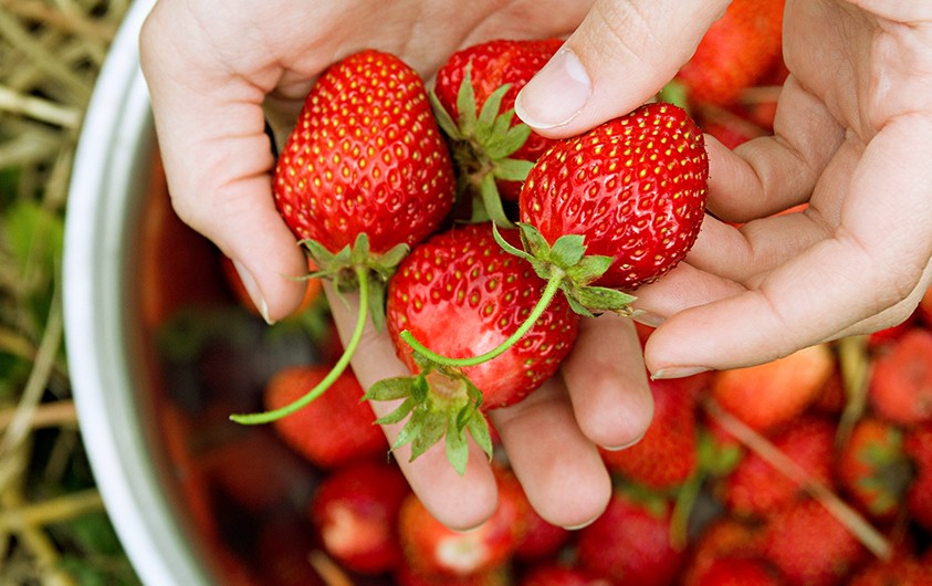 Bild zum Beitrag 'So gesund sind Erdbeeren'