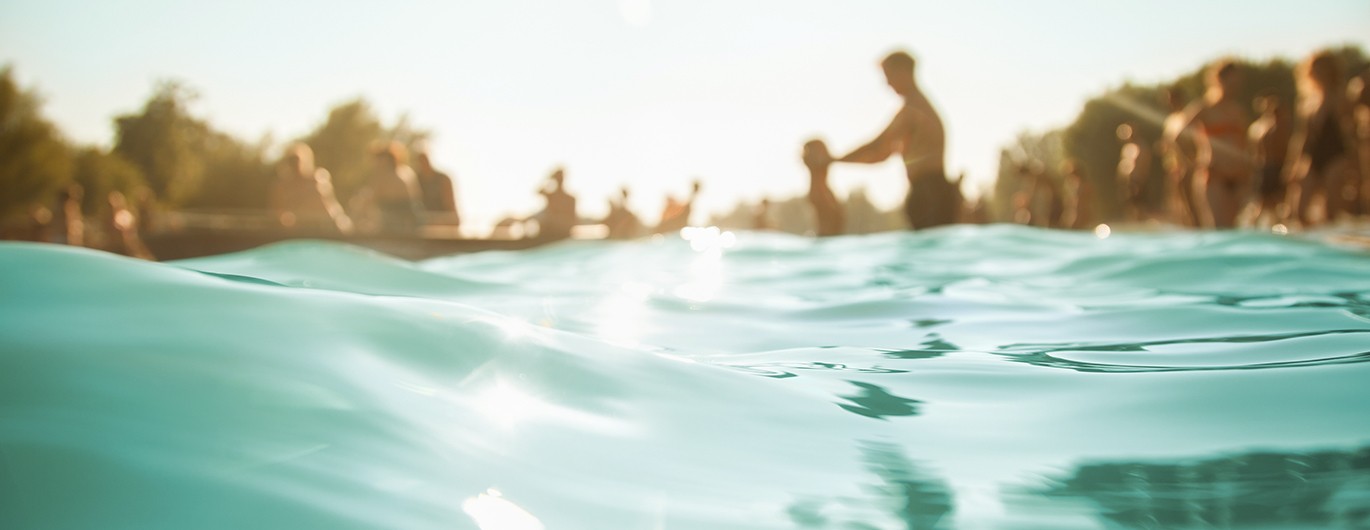 Bild zum Beitrag 'Tierische Gefahren im Sommer'