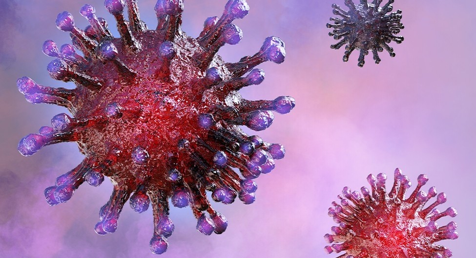 Hotline zum Coronavirus Bild zum Beitrag 'Hotline zum Coronavirus'